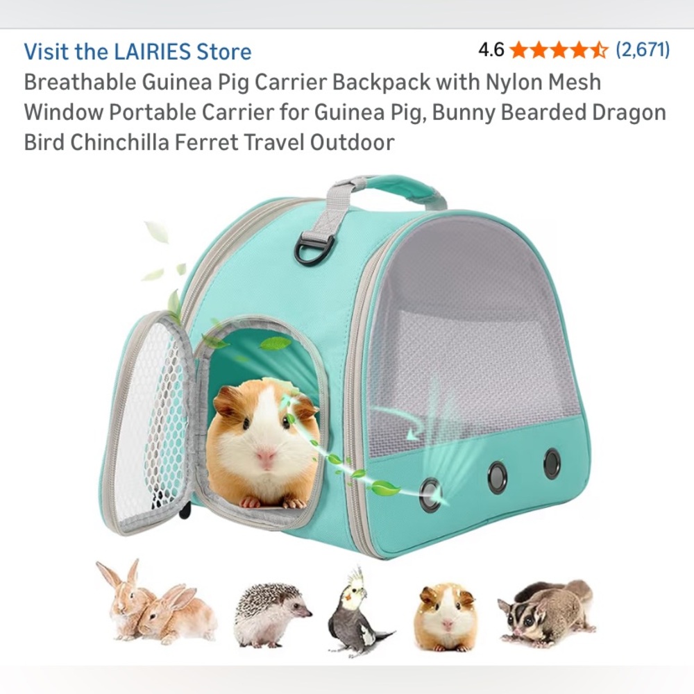 Teal Pet Carrier Backpack for Small Animals